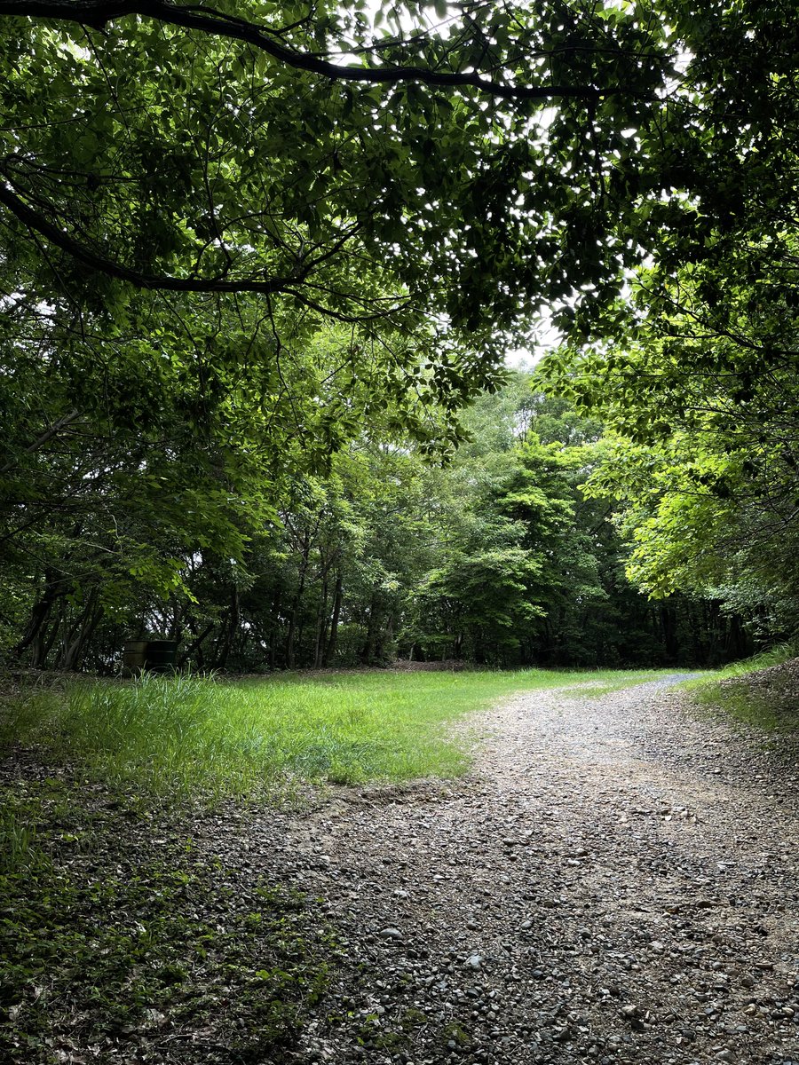 tenderuin's tweet image. i walked where the wind took me in nagoya