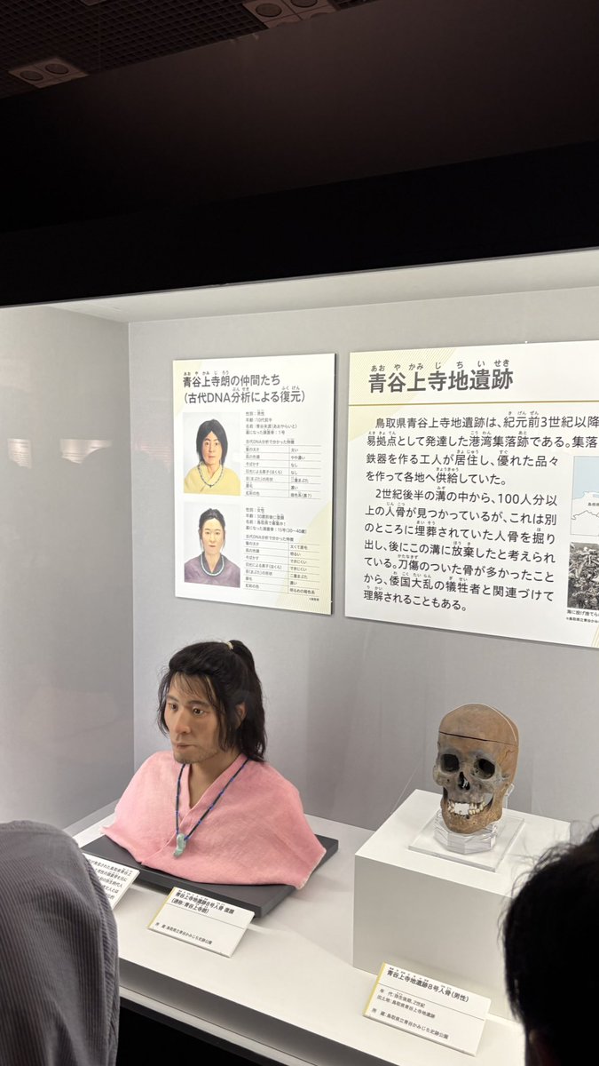 日本古代人DNA特別展はいいと思いますが、欠点はY染色体、ミトコンドリア、常染色体についてほとんど紹介されていないことです。体質人類学、頭蓋骨に関する展示のようなものです。