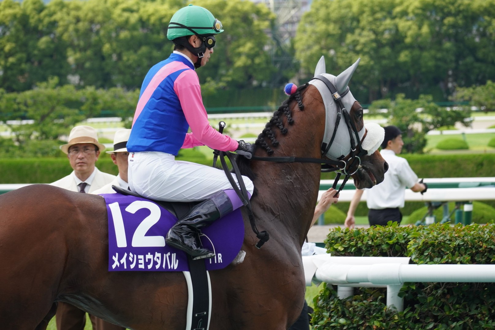 3紙セット GⅠ 宝塚記念 武 豊 メイショウタバル 2025年6月16