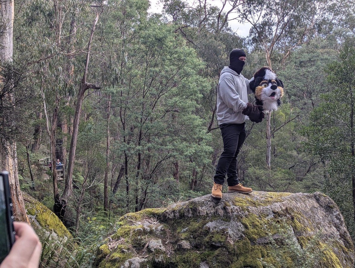 Bush Walks
<a href="/ApexJackal/">Apex</a>