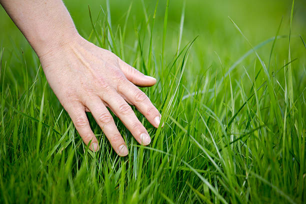 MichelePh2's tweet photo. #openseatouchgrass https://t.co/nDpbgftfqf