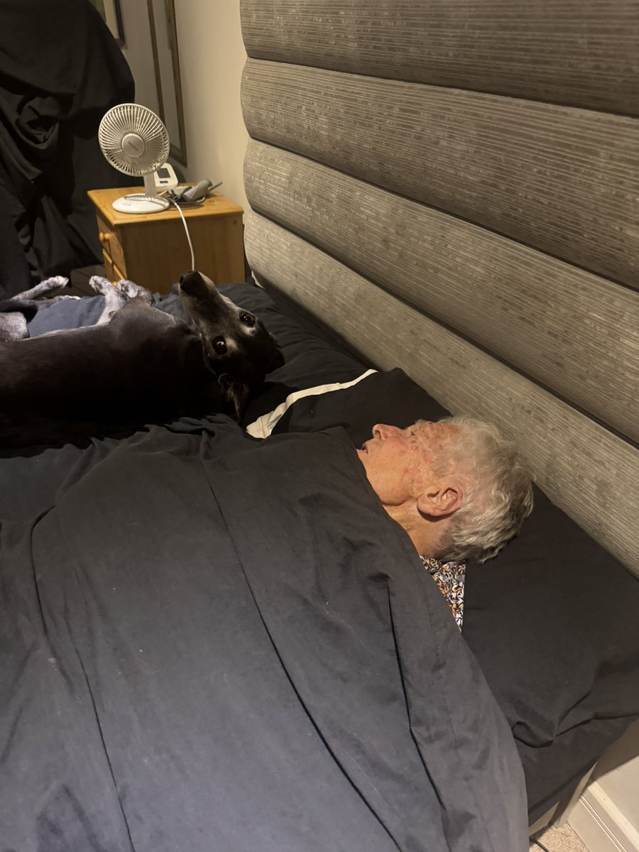 ‘Right Wolfie, Dad is staying tonight, he’s 92, had a very long day, so maybe you could give him the whole bed tonight and you sleep on the floor’

Wolfie response 👇🙄