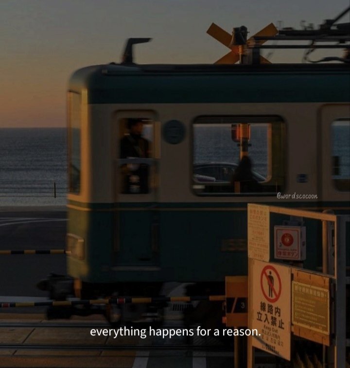 WordsCocoon's tweet image. everything!