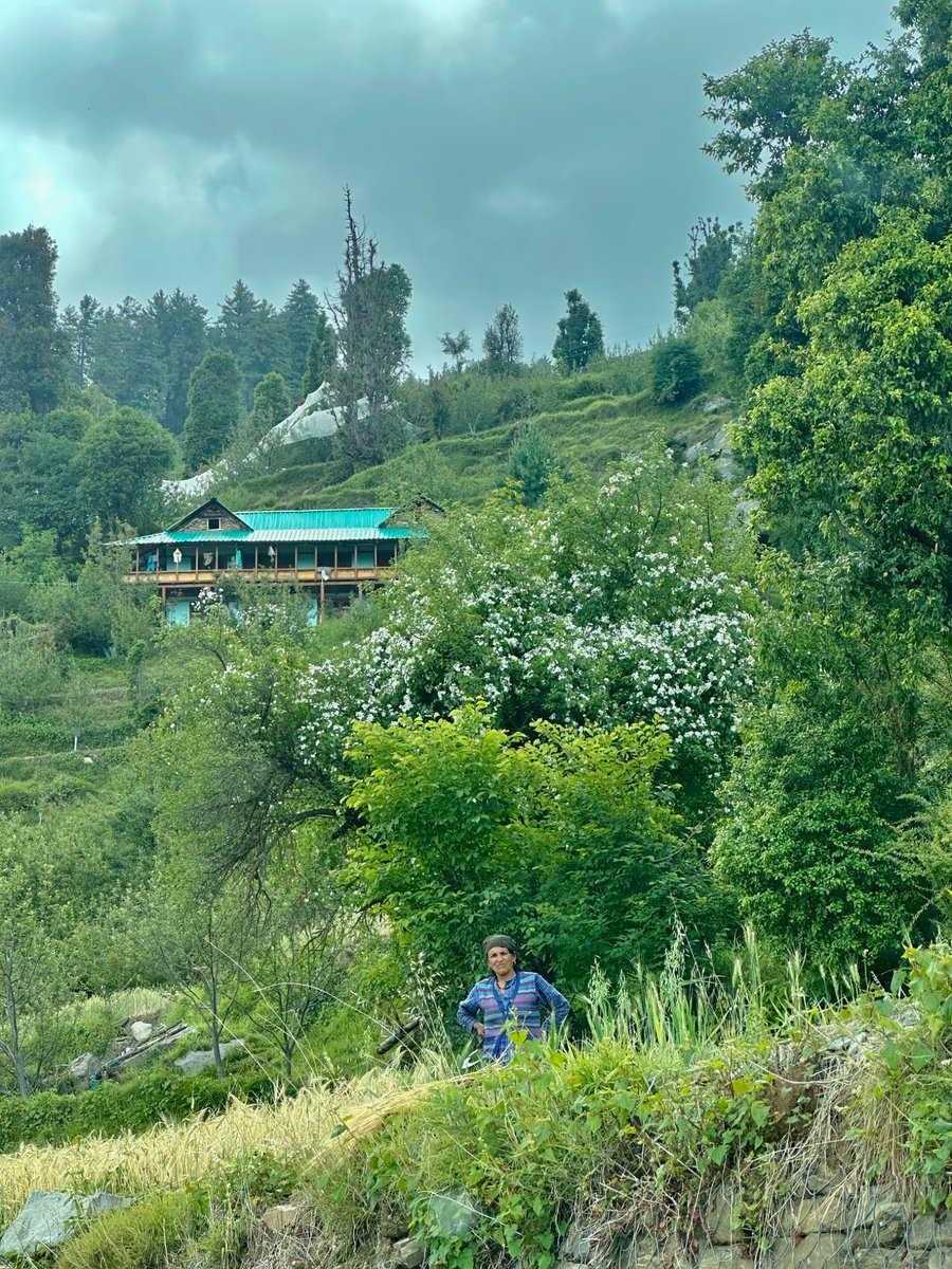 nazariyaa__'s tweet image. Rain clouds are here at last . Everything feels so fresh and beautiful 🌩️🌲
