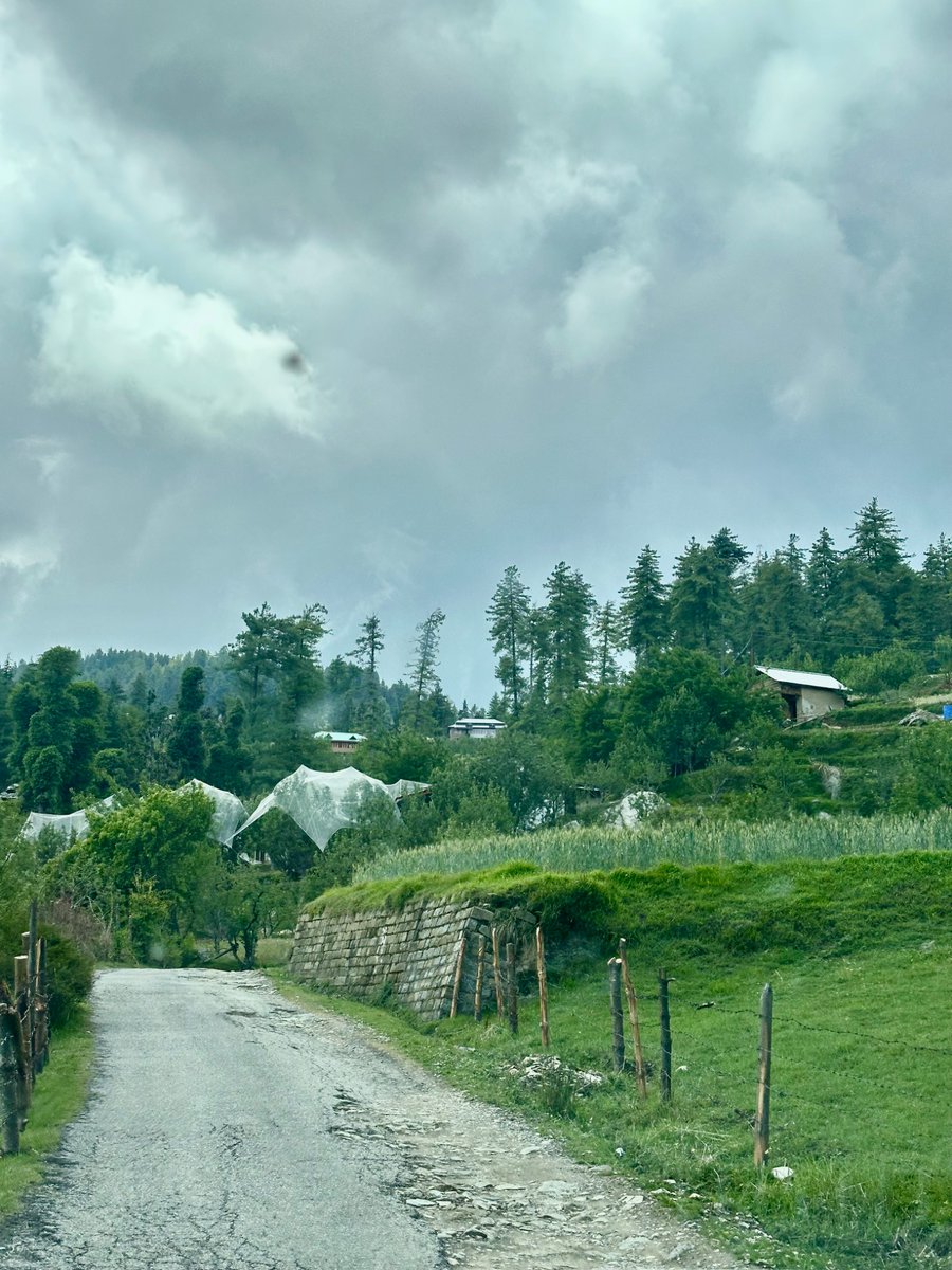 nazariyaa__'s tweet image. Rain clouds are here at last . Everything feels so fresh and beautiful 🌩️🌲