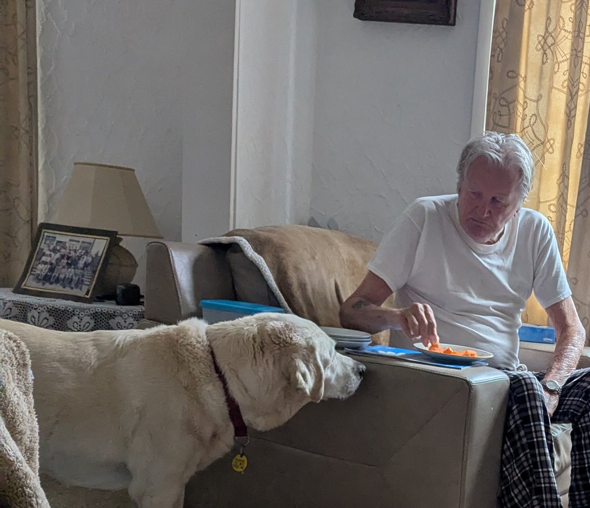 Retired 🦮 Uri (RIP RGD Arnie) tweet media