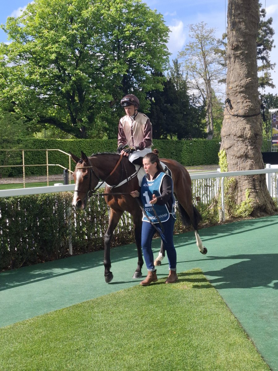 Couetil Racing Club (@couetracingclub) on Twitter photo 17h25 - Prix Pawneese Longines / Listed race pour pouliches sur 2400m. *KATHINA* va affronter 11 adversaires, l'élite des juments de 4 ans et +.
<a href="/Longines/">Longines Watch Co.</a> <a href="/OlivierAndigne/">Olivier d'Andigné</a> <a href="/ACouetil/">Alain Couetil</a> <a href="/francegalop/">France Galop</a> <a href="/equidia/">Equidia</a> <a href="/pmu/">PMU</a> <a href="/EPouymayon/">elodie pouymayon</a> 17h25 - Prix Pawneese Longines / Listed race pour pouliches sur 2400m. *KATHINA* va affronter 11 adversaires, l'élite des juments de 4 ans et +.
<a href="/Longines/">Longines Watch Co.</a> <a href="/OlivierAndigne/">Olivier d'Andigné</a> <a href="/ACouetil/">Alain Couetil</a> <a href="/francegalop/">France Galop</a> <a href="/equidia/">Equidia</a> <a href="/pmu/">PMU</a> <a href="/EPouymayon/">elodie pouymayon</a>