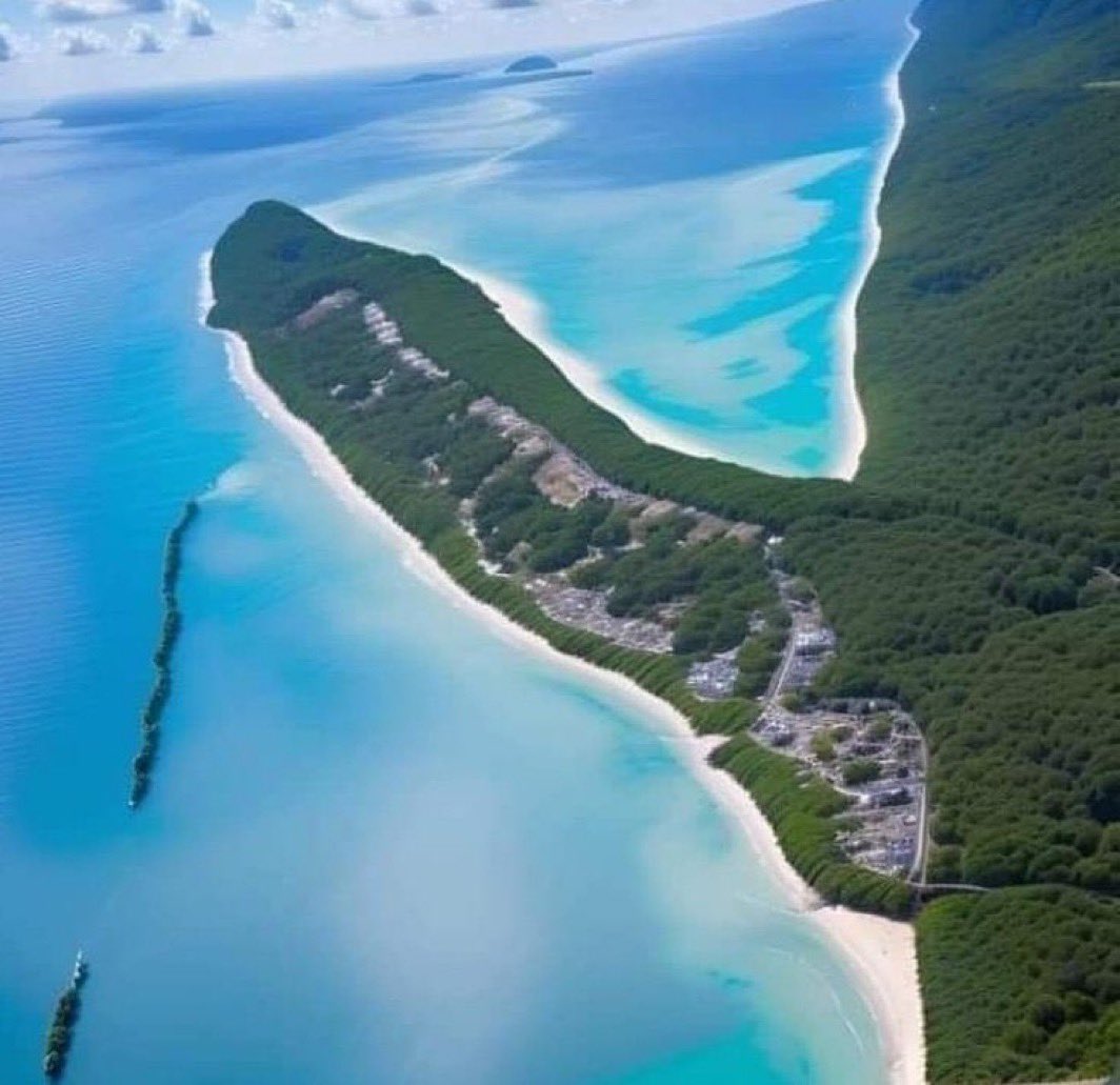 TRIPPLEtrouble_'s tweet image. Who did this .?you evil children of Judas..🥵🥲