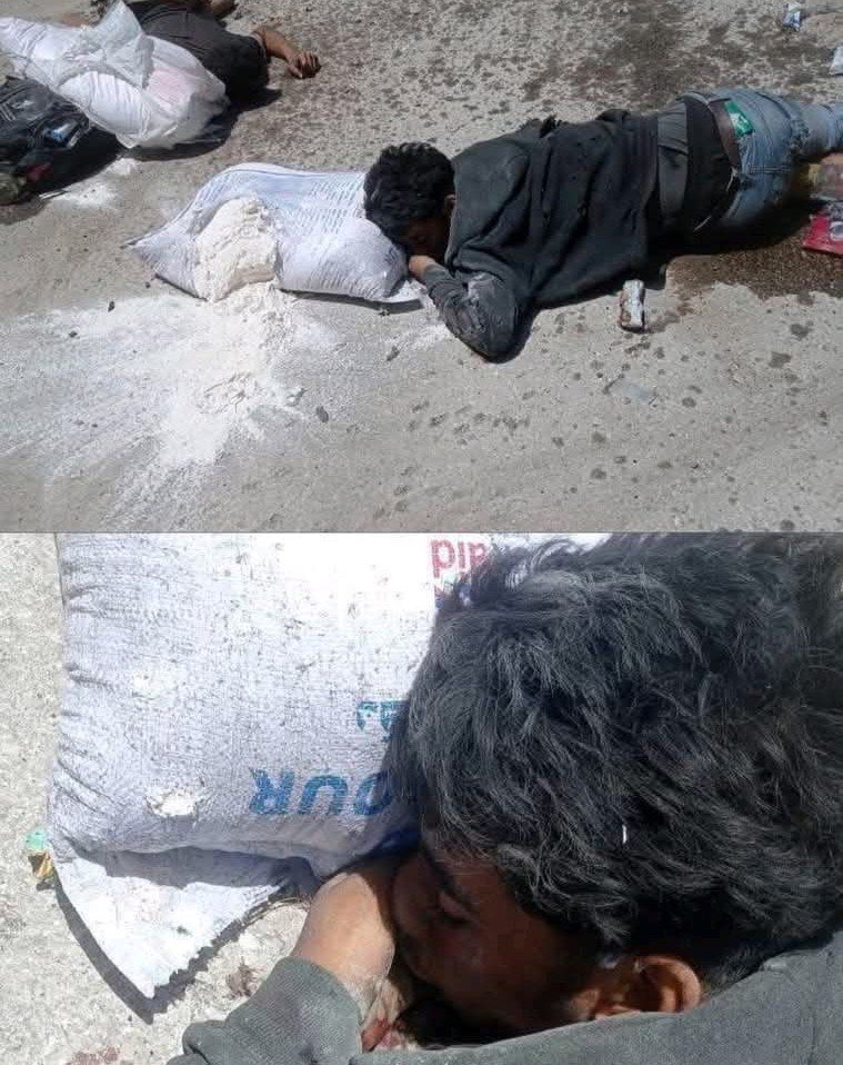 This is Gaza, killed while looking for food.