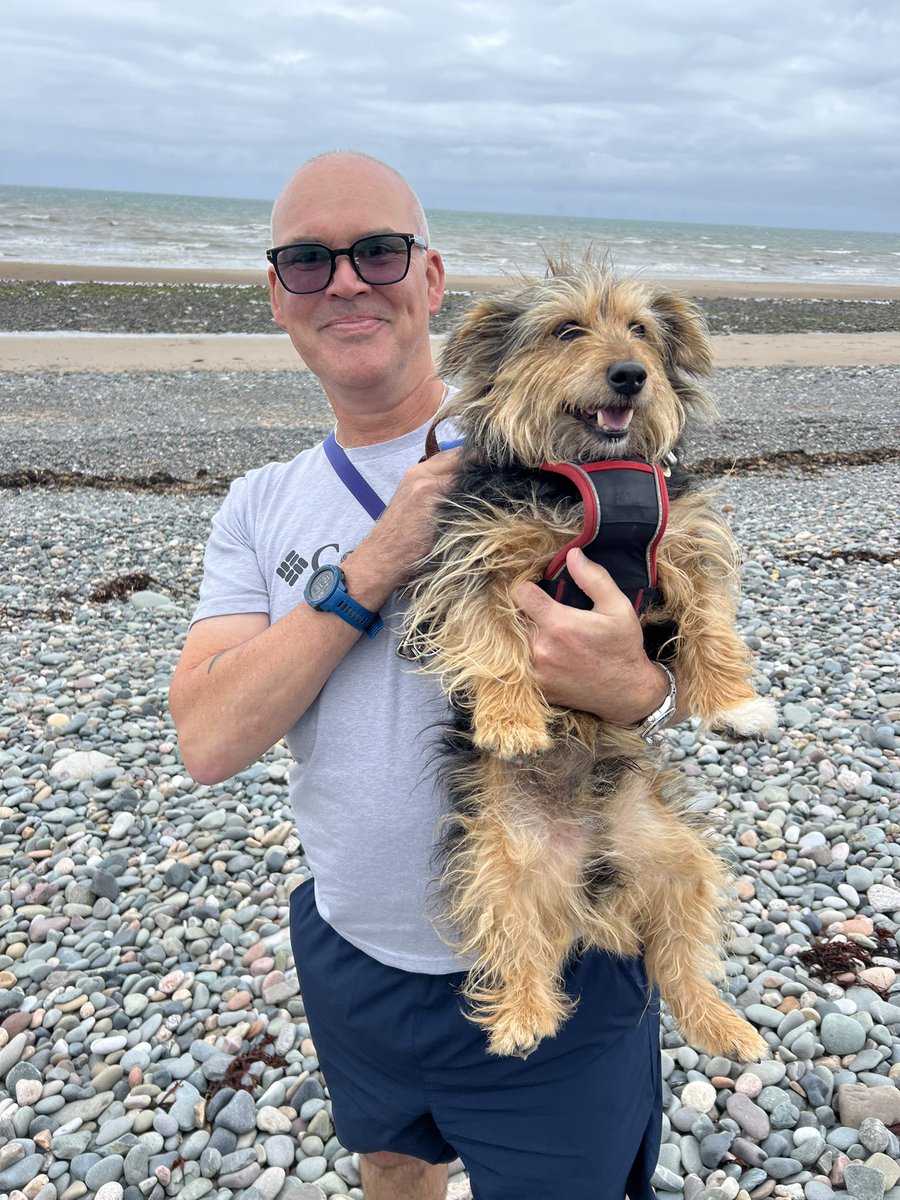 Lee Edwards ⛰🥾🐿️🐝🐈⬛🦊 tweet media