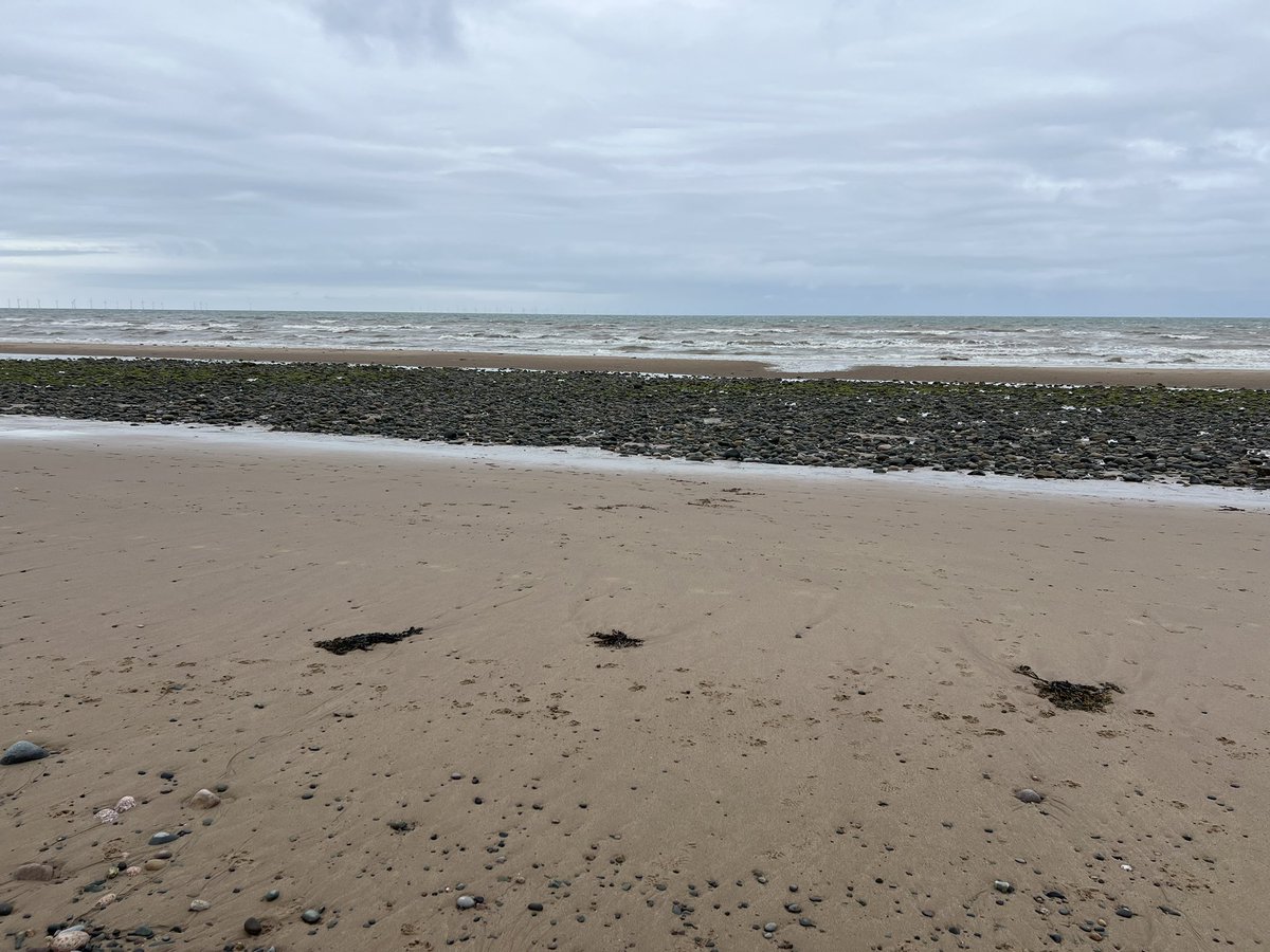 Lee Edwards ⛰🥾🐿️🐝🐈⬛🦊 tweet media