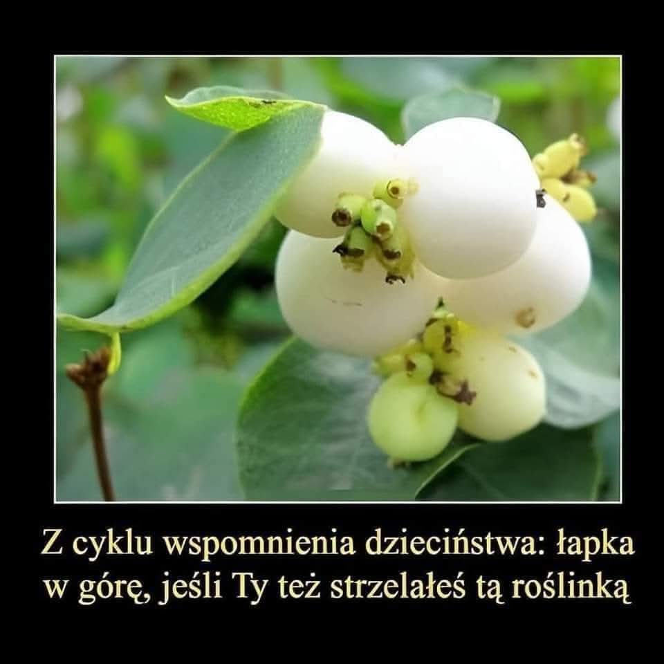Ilikeangell's tweet image. 👍