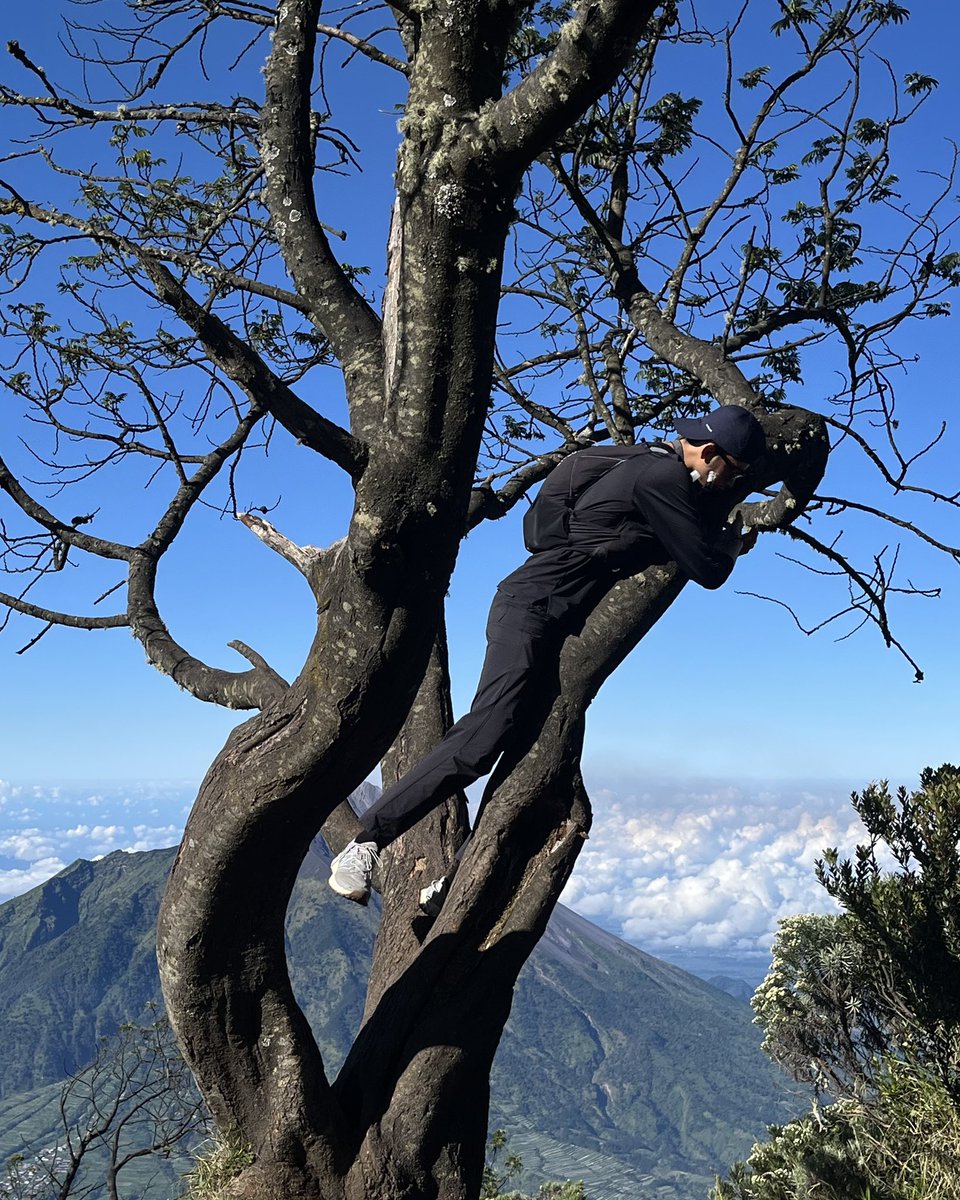 AdibJannatan's tweet photo. Sampai sekarang masih belum percaya kalau aku nge-tektok-in Gunung Merbabu, dengan kecepatan naik sekitar 4 jam dan turun 2 setengah jam. Sekali lagi TEKTOK GUNUNG MERBABU. #gunungmerbabu #merbabu https://t.co/R6uB91jBQB