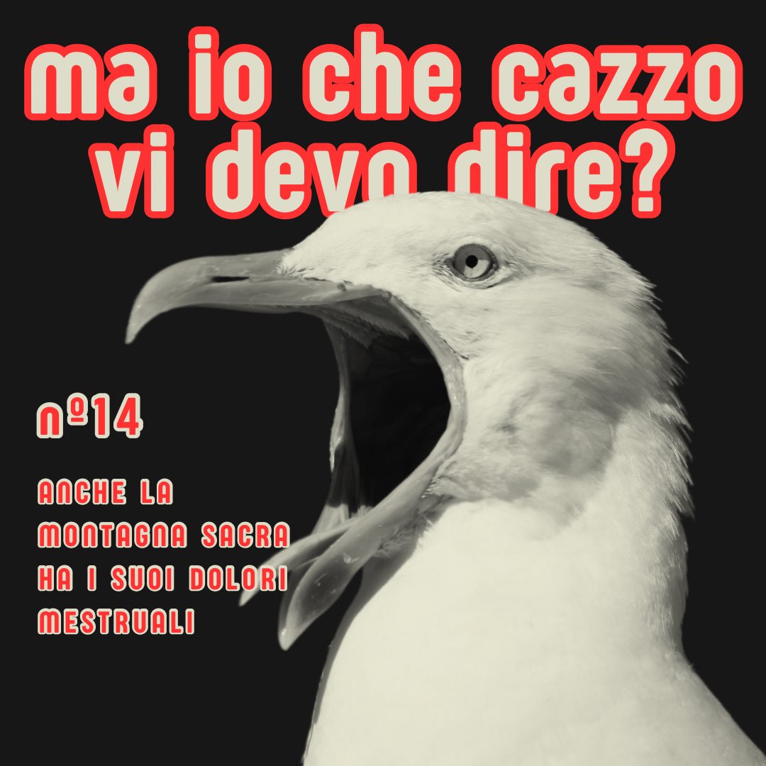 marcobeccaniur1's tweet photo. LEGGI LEGGI LEGGI https://t.co/m8gLlMFWbb https://t.co/KMQuQ7Xjk6