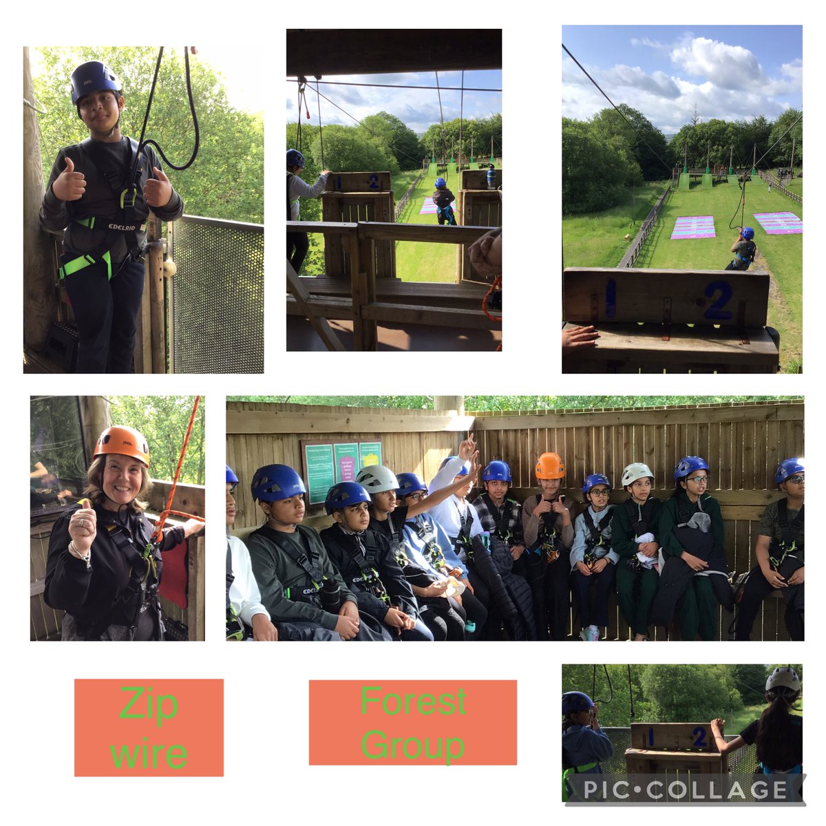 Forest Group were amazing on the zip wire….go team Forest!