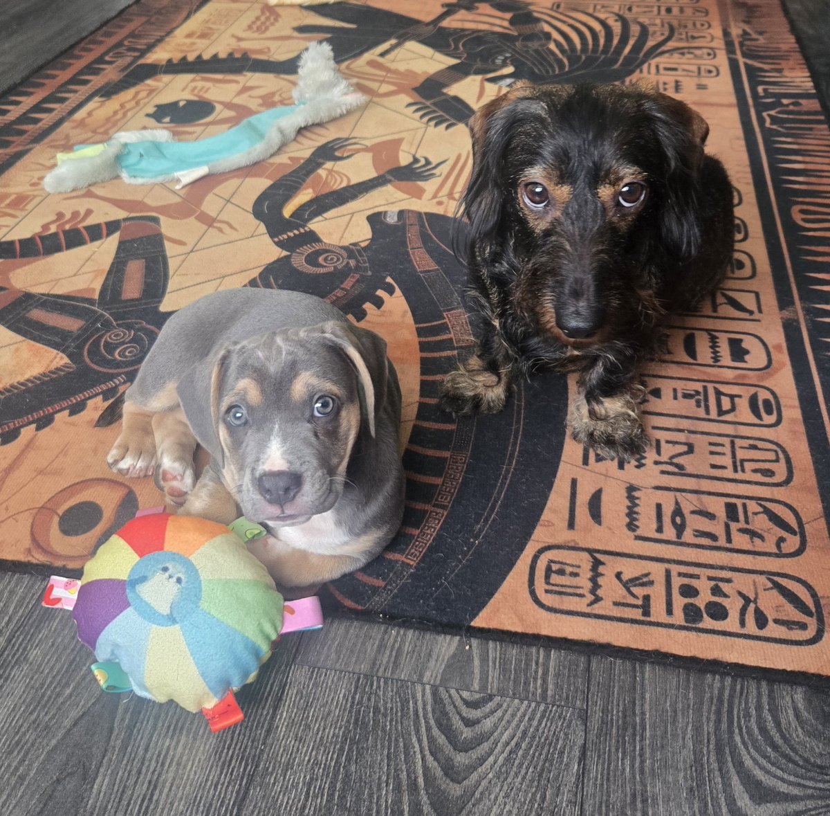 victoria barber tweet media