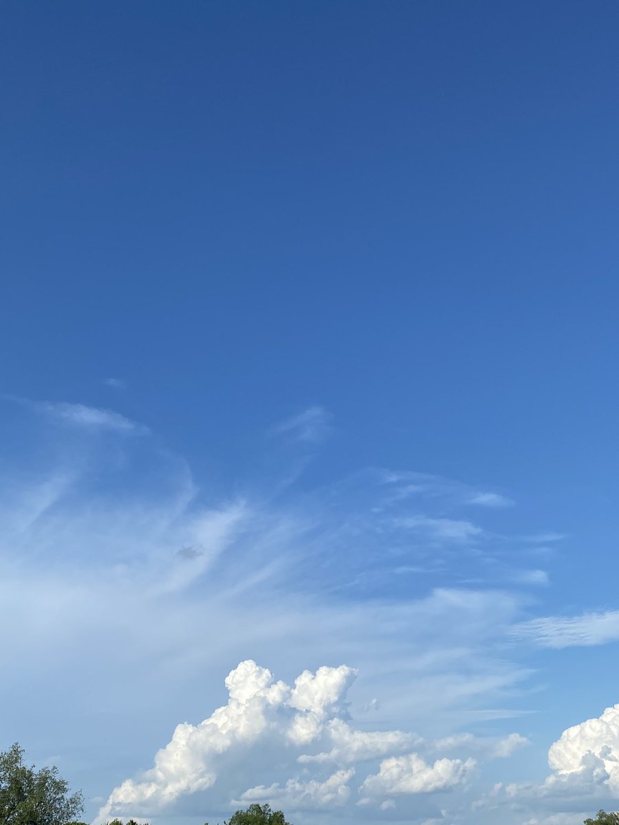 TaleofPoet's tweet image. Hari ini langitnya cerah sekali.