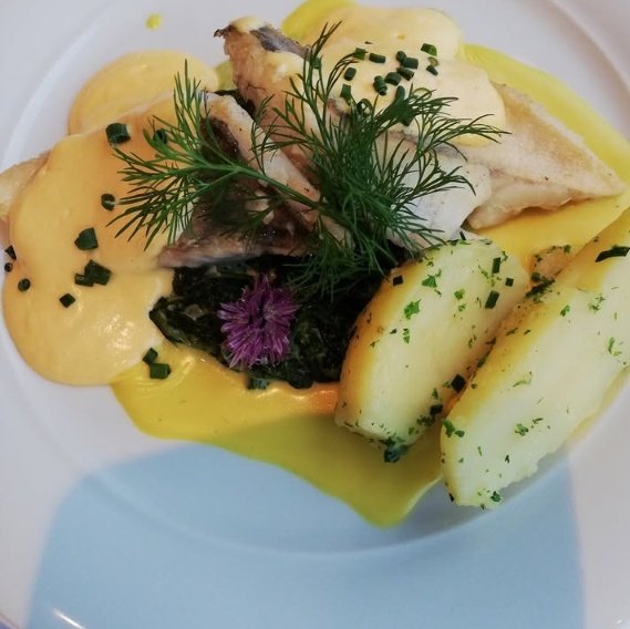 maria_greece_1's tweet image. ✨ Σήμερα το έπαιξα chef υψηλής γαστρονομίας!
 Φιλέτο κοτόπουλο με βελούδινη σάλτσα, αρωματικές πατάτες και λίγη... βοτανική μαγεία.
Γκουρμέ και με το παραπάνω – δοκιμάζει κανείς; 😋🍽️
#homemadegourmet #chefvibes #foodart #παιχνίδιμετιςγεύσεις