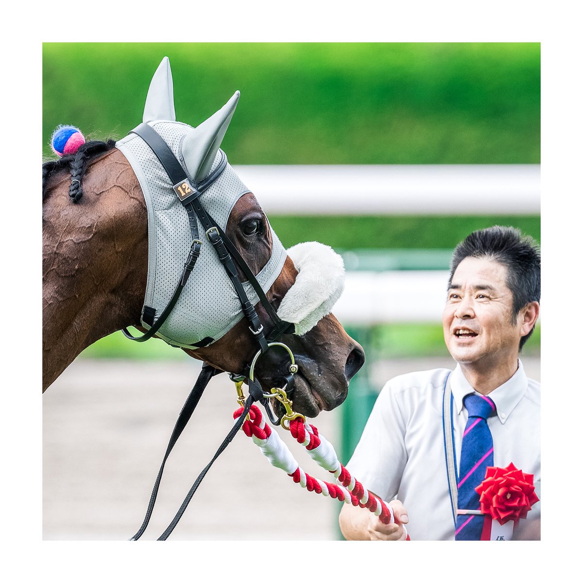 Yahoo!オークション - JRA 第65回宝塚記念 ヒーロー列伝