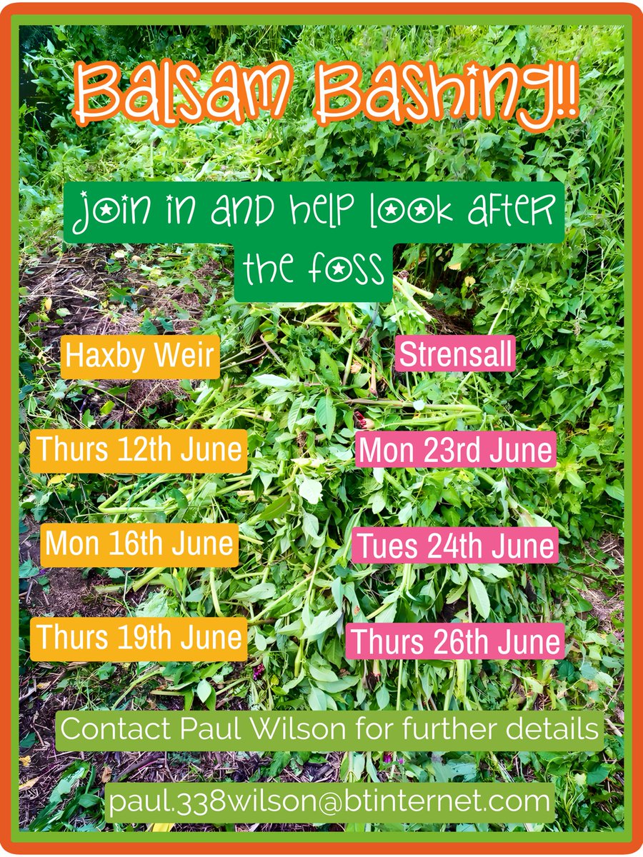 𝑹𝒊𝒗𝒆𝒓 𝑭𝒐𝒔𝒔 𝑺𝒐𝒄𝒊𝒆𝒕𝒚 tweet media