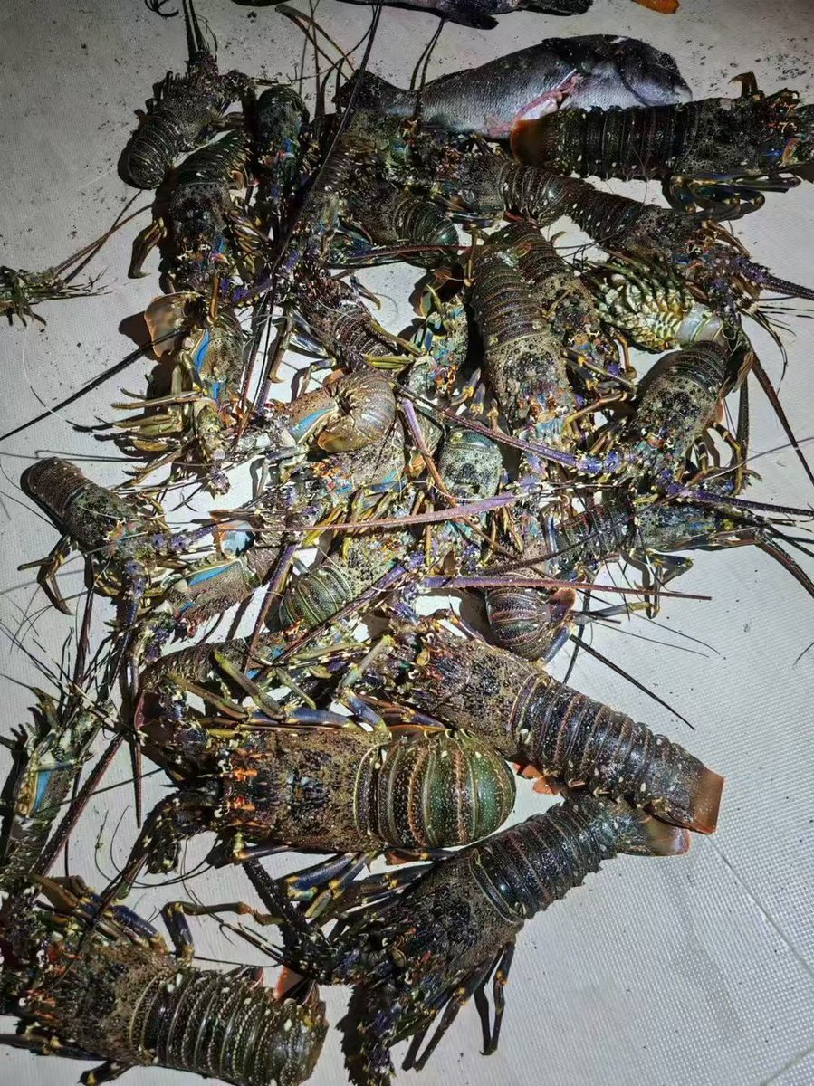 king long tweet media