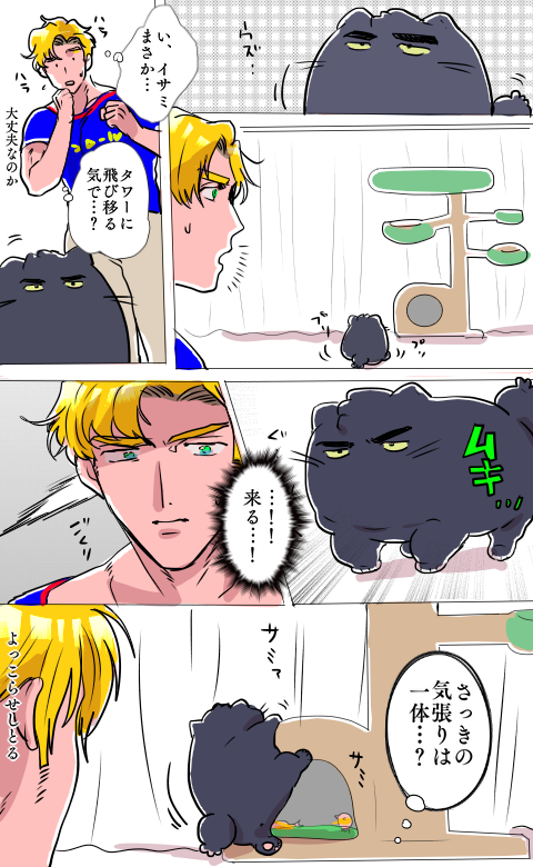 なつかしのスミイサ🐱 