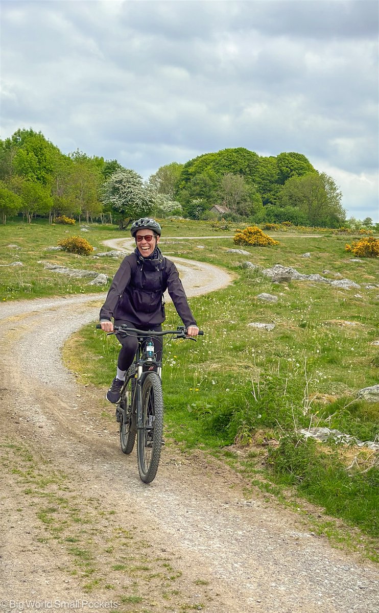 BigWorldSmallPockets tweet media