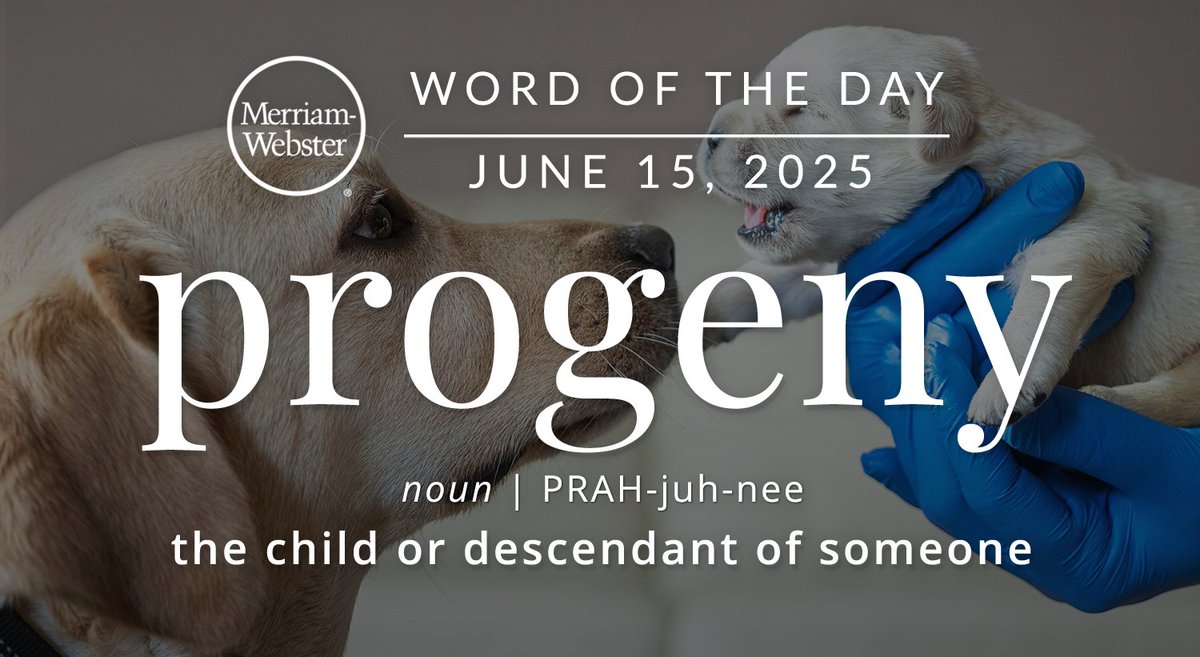 The #WordOfTheDay is ‘progeny.’
ow.ly/nxcs50W7hkY