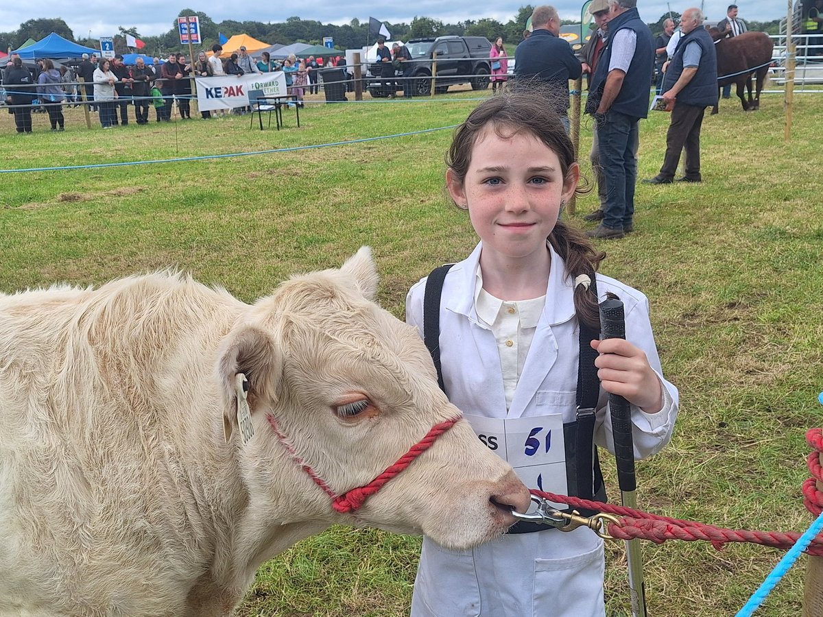 FJ_Pedigree's tweet photo. Nine year old Sophie Farrell from Co Leitrim prepares her Charolais bull calf Hilltop Valentino for the show ring here in Athlone Show. @farmersjournal https://t.co/VstK85T6CO