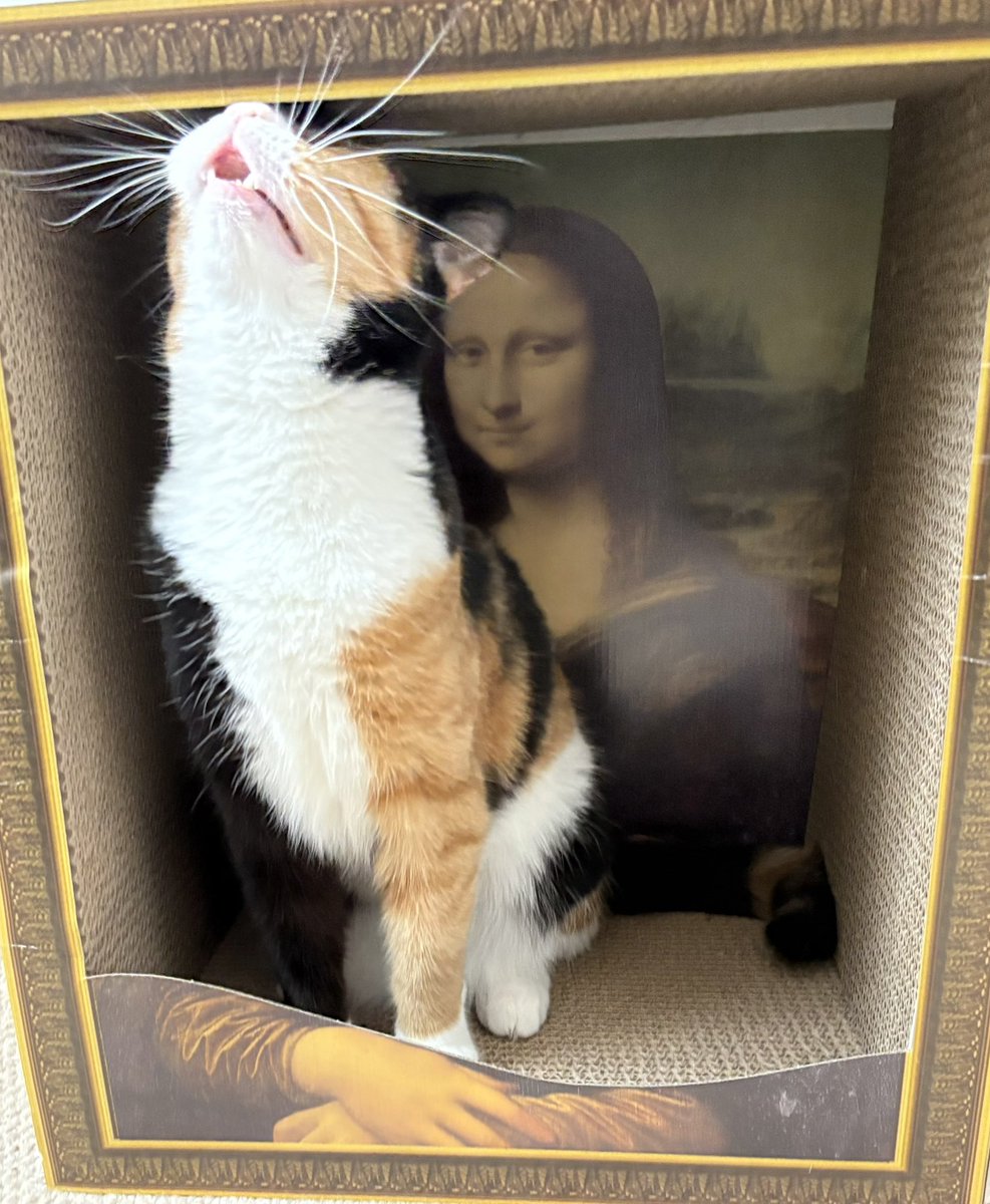 Julie Gosden Turner (@queenpeggles) on Twitter photo 