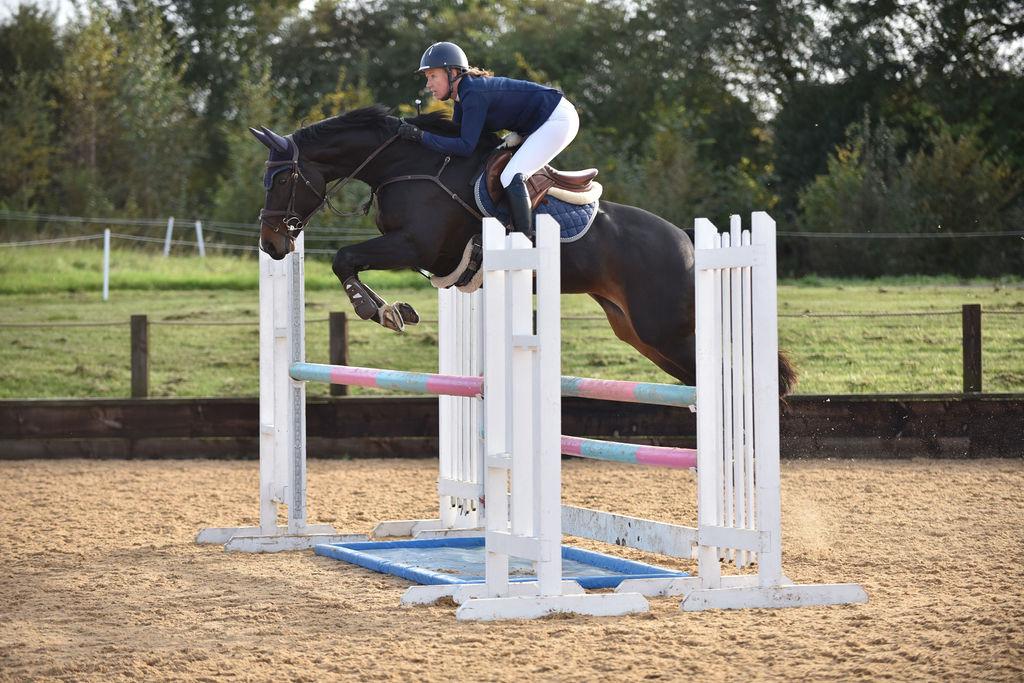 ⏰ Time is running out to secure your place...

𝗦𝗵𝗼𝘄𝗷𝘂𝗺𝗽𝗶𝗻𝗴 𝘄𝗶𝘁𝗵 𝗖𝗹𝗮𝗶𝗿𝗲 𝗗𝗮𝗿𝘄𝗶𝗻
19th June (evening) | 13th July (day)

Suitable for Junior or Senior riders jumping any height from 60cms + 

🔗 𝗕𝗼𝗼𝗸 𝗻𝗼𝘄: keysoe.com/product/clinic…