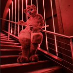 Photo by Evalion (@evaliondragon)