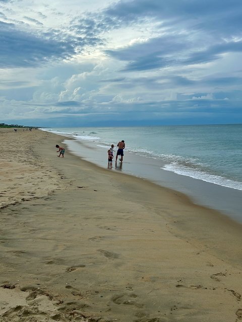 BwcDeals tweet media