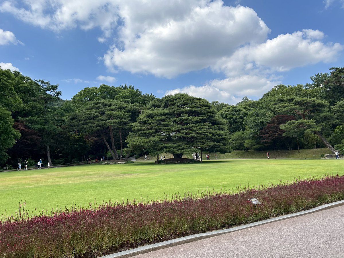 Peaceful weekend 

#openseatouchgrass #OpenSeaNFT