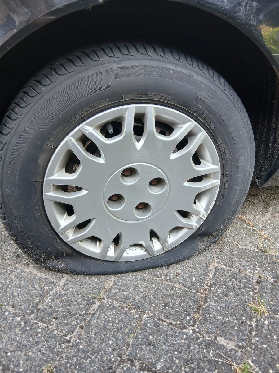 Esther Voet tweet media