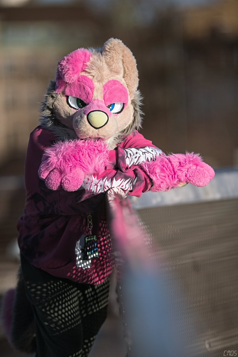 Hitting the #melonpose 

📸: <a href="/Cmos_ThunderFox/">Cmos ThunderFox</a>