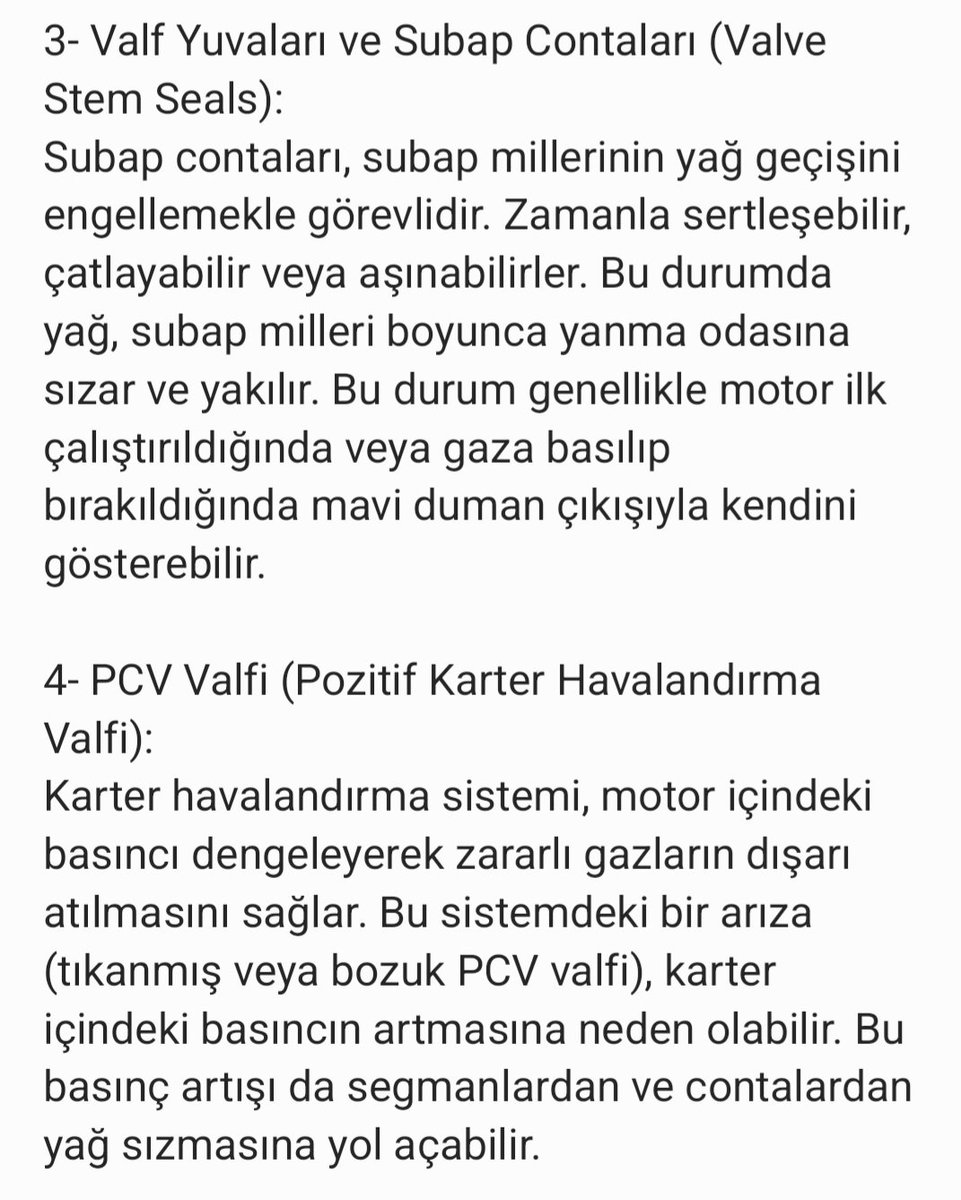 TolgaY tweet media