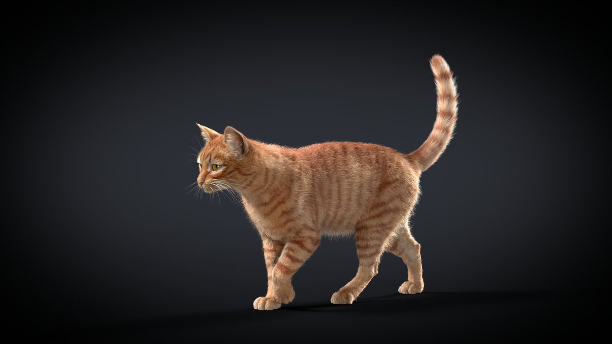 CgSuperb's tweet photo. Orange Cat | 3D Model &amp; Animation | Superb CG
This is an orange cat model with multiple 4K maps, fur, rigging, and animations. It's made with Blender and Cycles renderer.
👉 https://t.co/cI69IG9VbX https://t.co/KD1ZuLDRmV