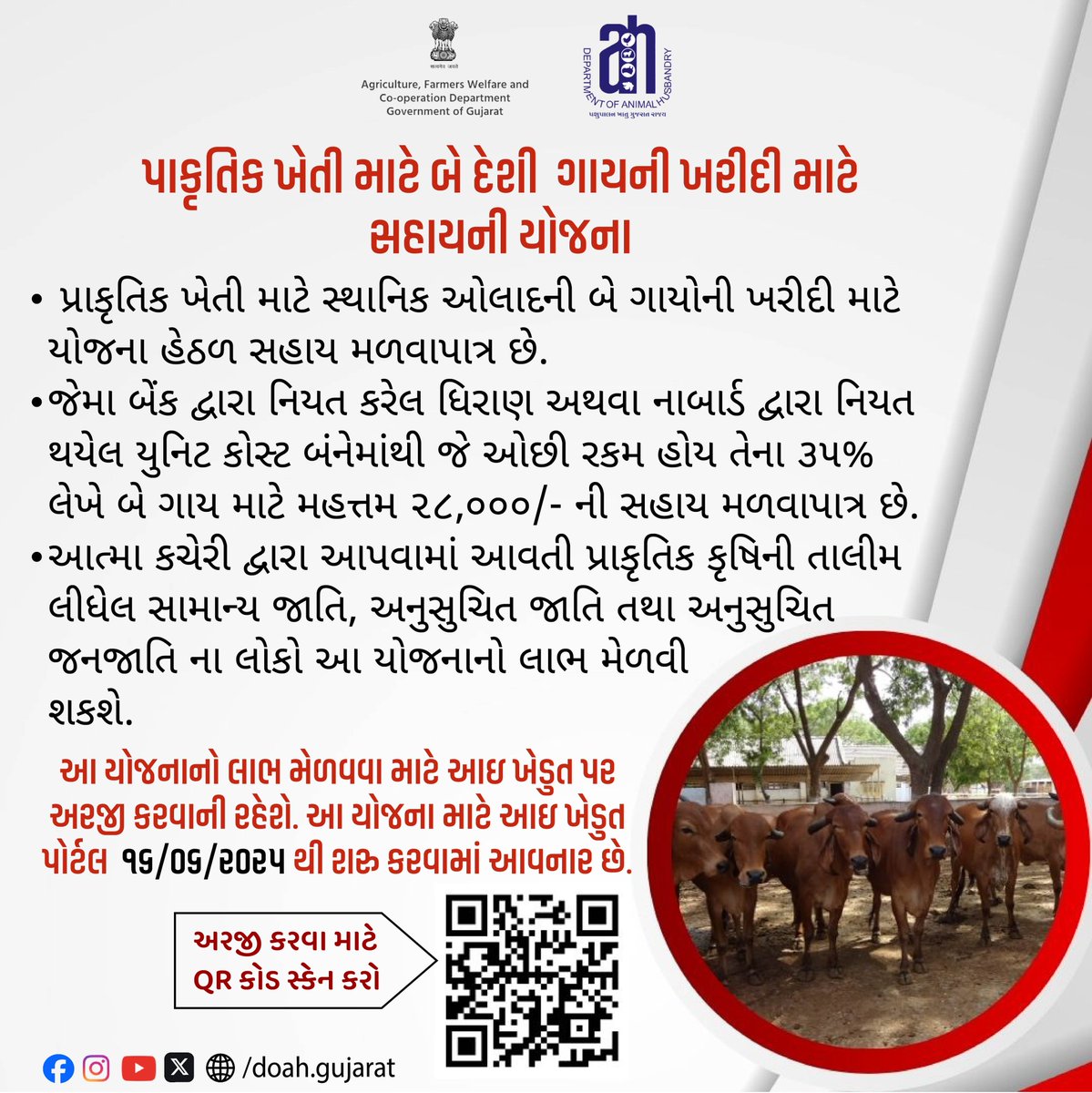 DoahGujarat's tweet photo. પાકૃતિક ખેતી માટે બે દેશી ગાયની ખરીદી માટે સહાયની યોજના
#NaturalFarming
#DesiCowScheme
#IndigenousCattleSupport
#CowBasedFarming
#SustainableAgriculture
#PashupalanYojana
#GujaratFarmingScheme
#iKhedutYojana
#ruraldevelopment https://t.co/XQUSNnu09i