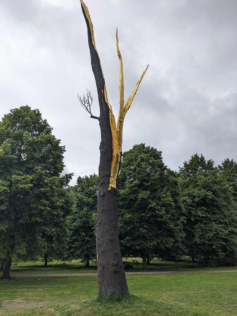 russlus's tweet photo. Another brilliant @SerpentineUK Pavilion &amp; unexpected landscape sculpture https://t.co/TRo7IY7NWU https://t.co/QDQLNh5B8l