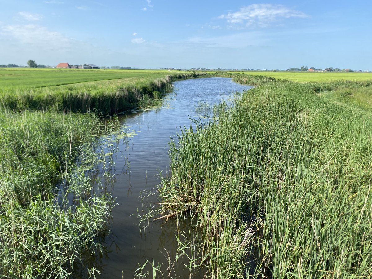 cdkfryslan's tweet photo. Sneintemoarn. Op de fyts fan #Frjentsjer nei #Snits. Moai nhou!? @provfryslan @psfryslan https://t.co/soOGf022pt