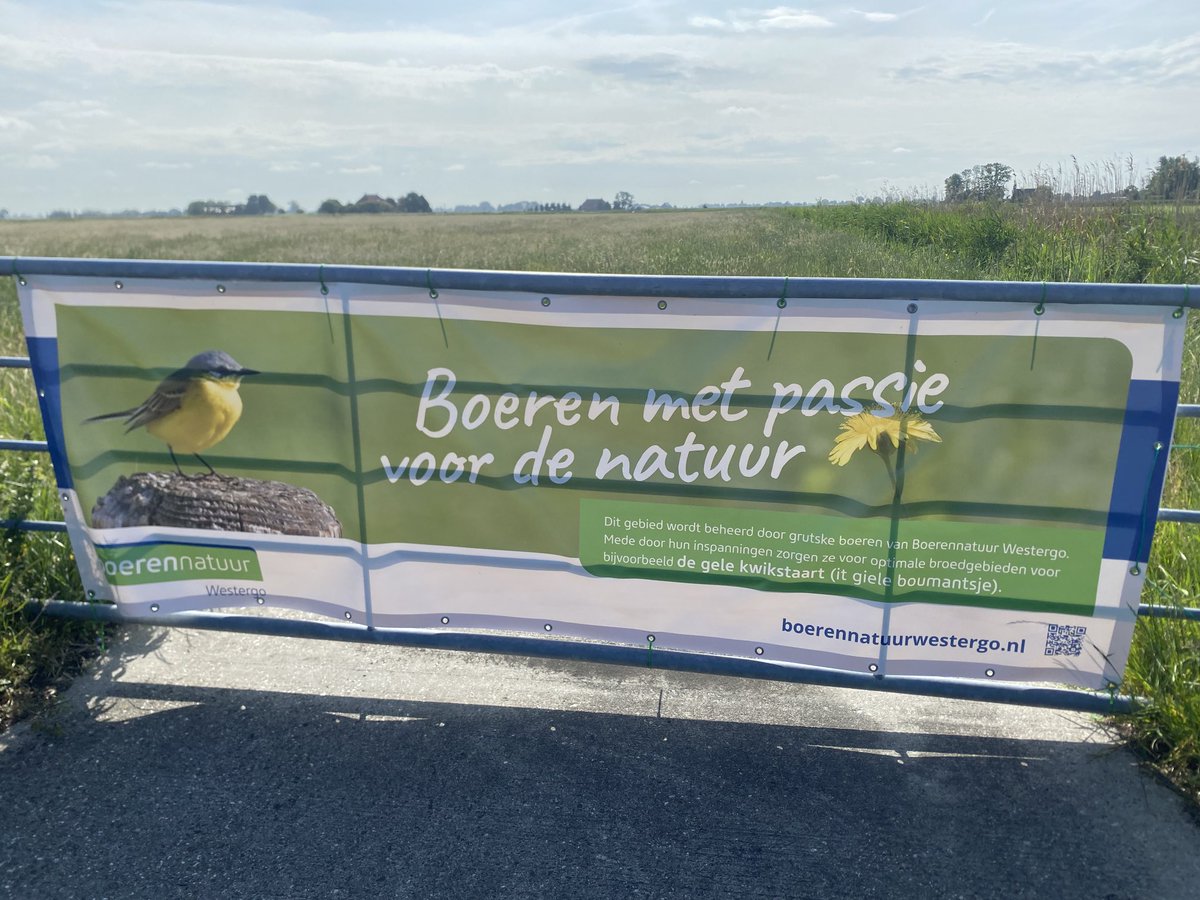 cdkfryslan's tweet photo. Sneintemoarn. Op de fyts fan #Frjentsjer nei #Snits. Moai nhou!? @provfryslan @psfryslan https://t.co/soOGf022pt