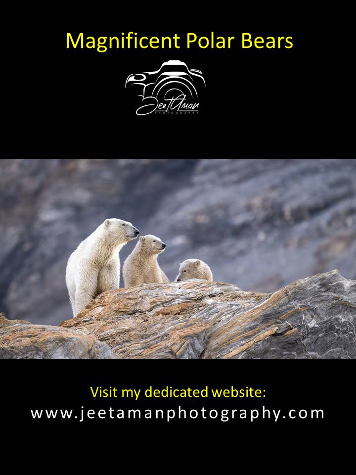 JeetAman Photography tweet media