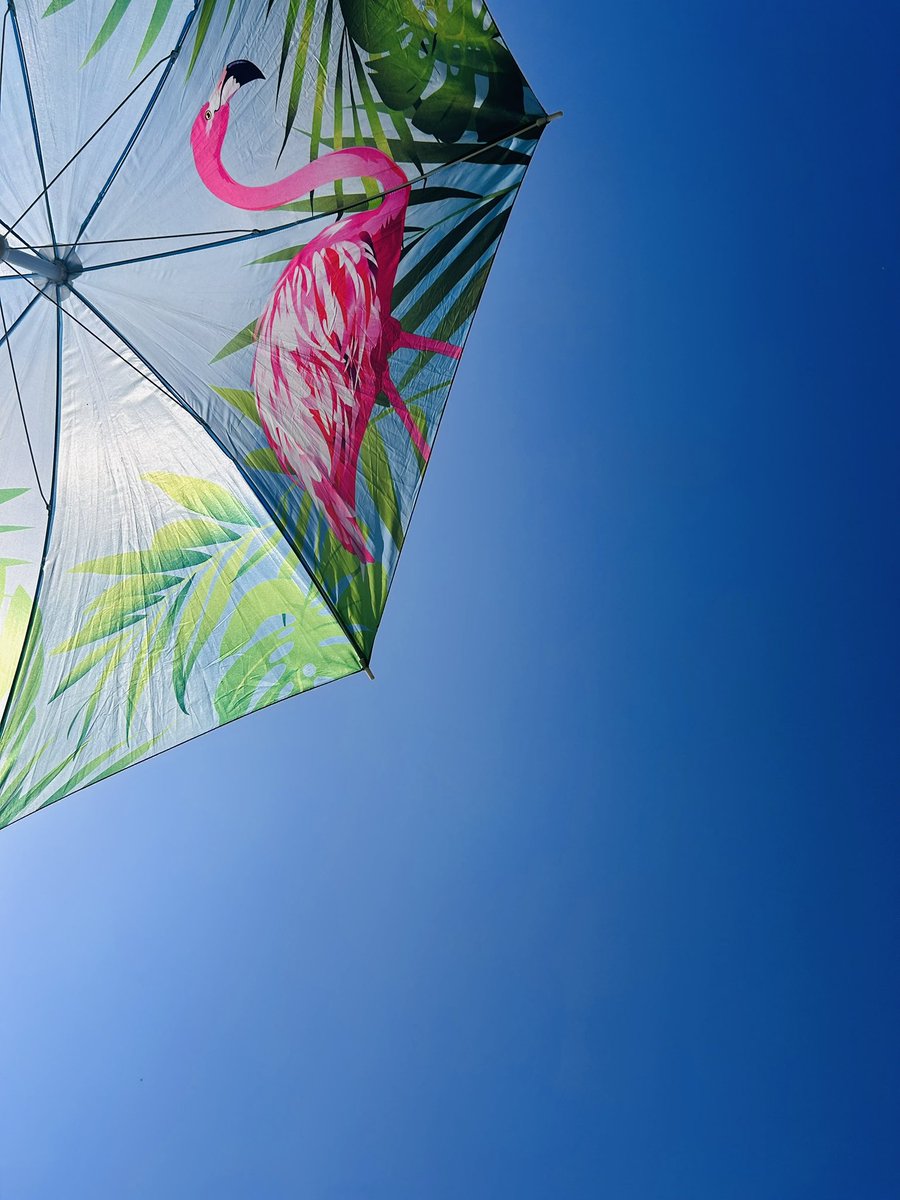 Zustand des Tages.
Guten Morgen, ihr Hasen.