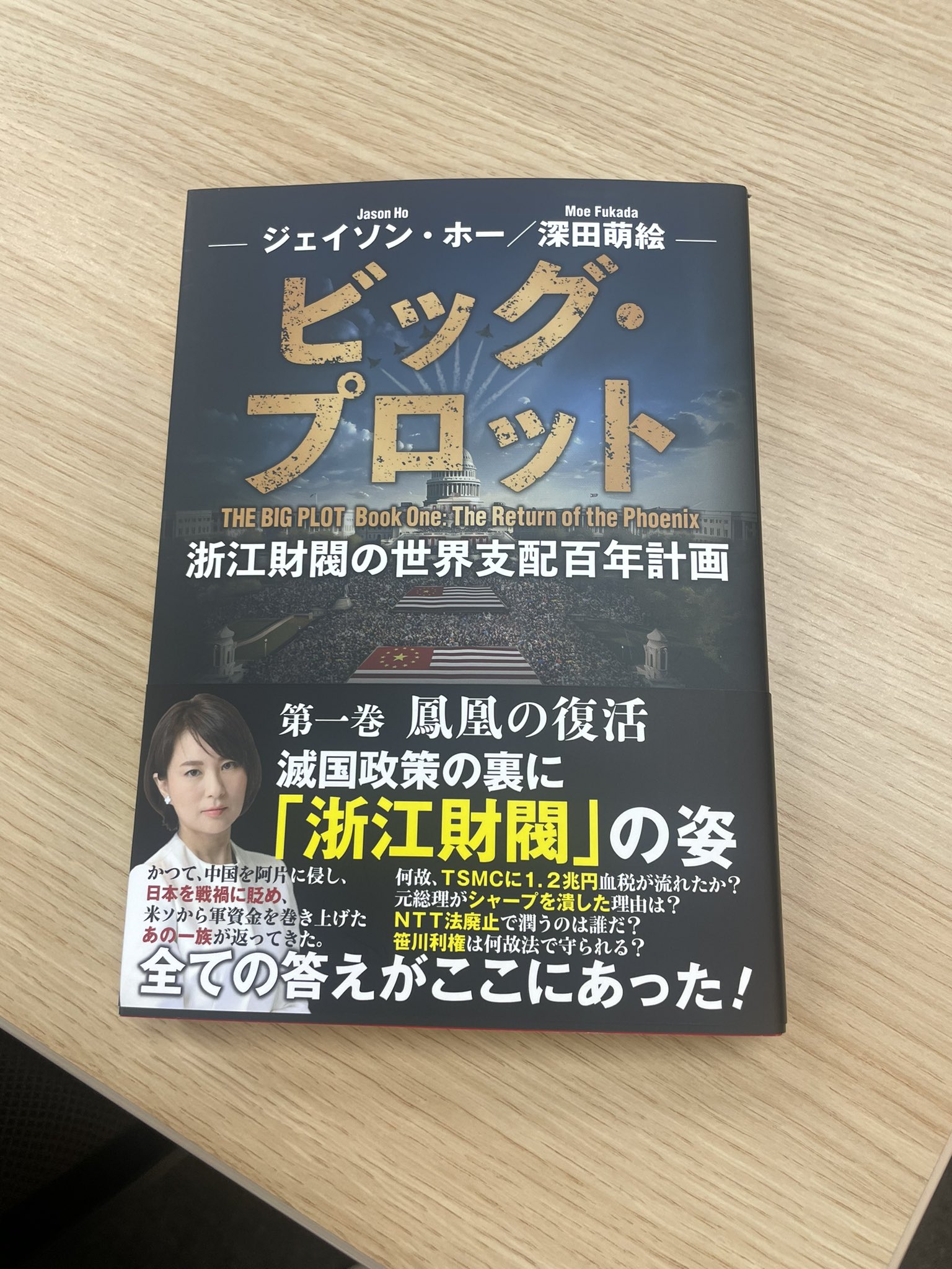 THE BIG PLOT 第一巻 鳳凰の復活