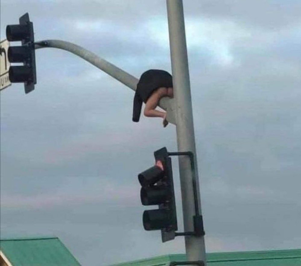 insane poses (@insaneposes) on Twitter photo 