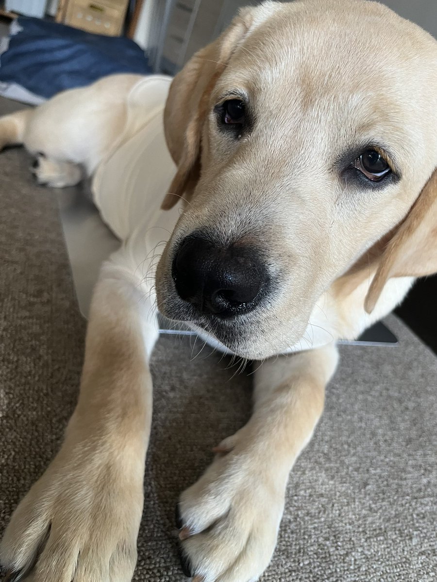 初めてアルミボードを買ってみたのだけど　2Lって…小さいのね😓