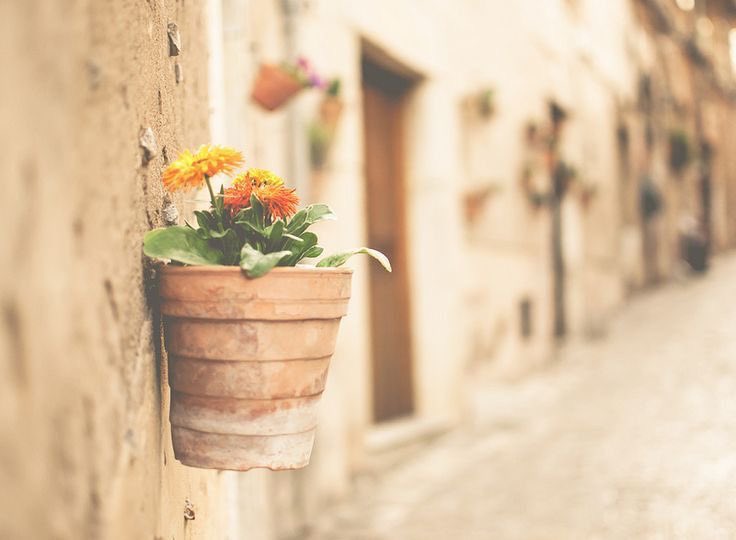 rmm12311's tweet image. -

بادر بغرس تفاصيل السعادة في قلوب من هم حولك ستحصُد بستاناً زاهياً في قلبك   ..

.
.
                                                                                        
#صباح_الخير  💐