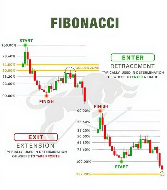 FIBONACCI NATURE.