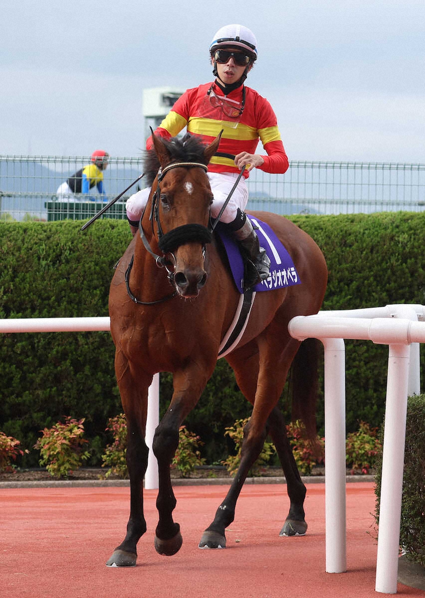 Amazon.co.jp: ベラジオオペラJRA競走馬宝塚記念 スポーツ新聞2